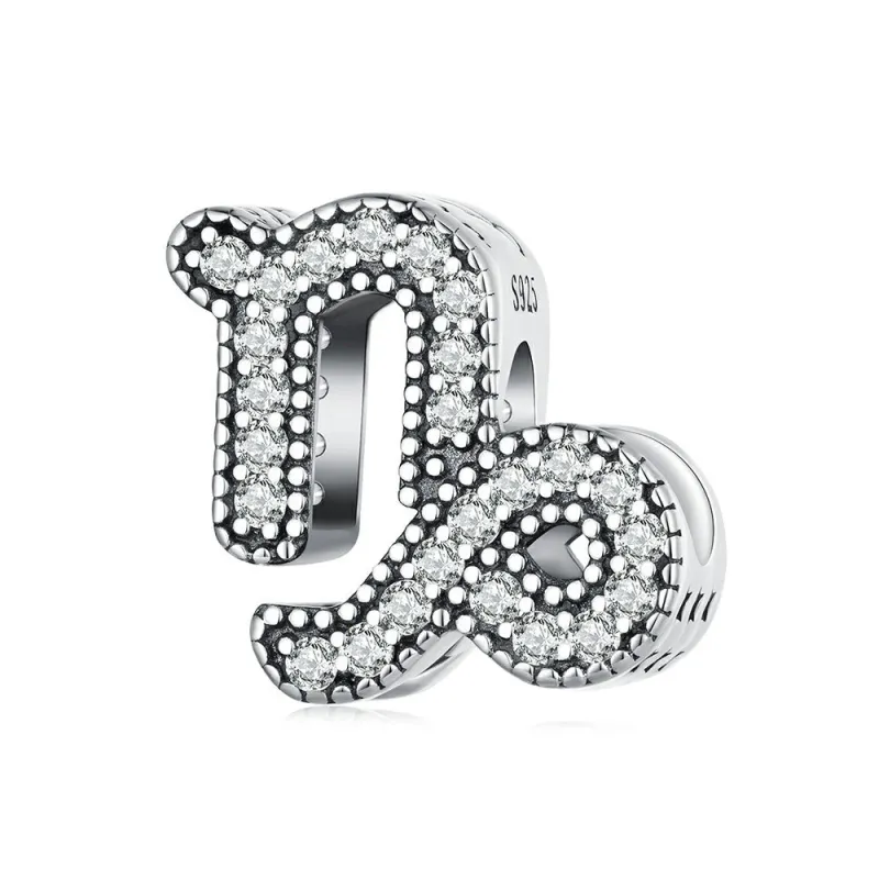 Capricorn Lucky Zodiac Sign Charm Silver