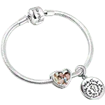 Complete charm bracelets