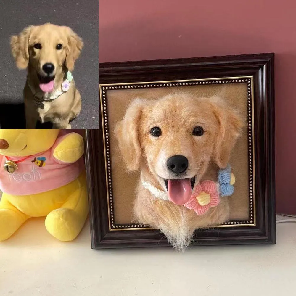 Custom needle felt pet