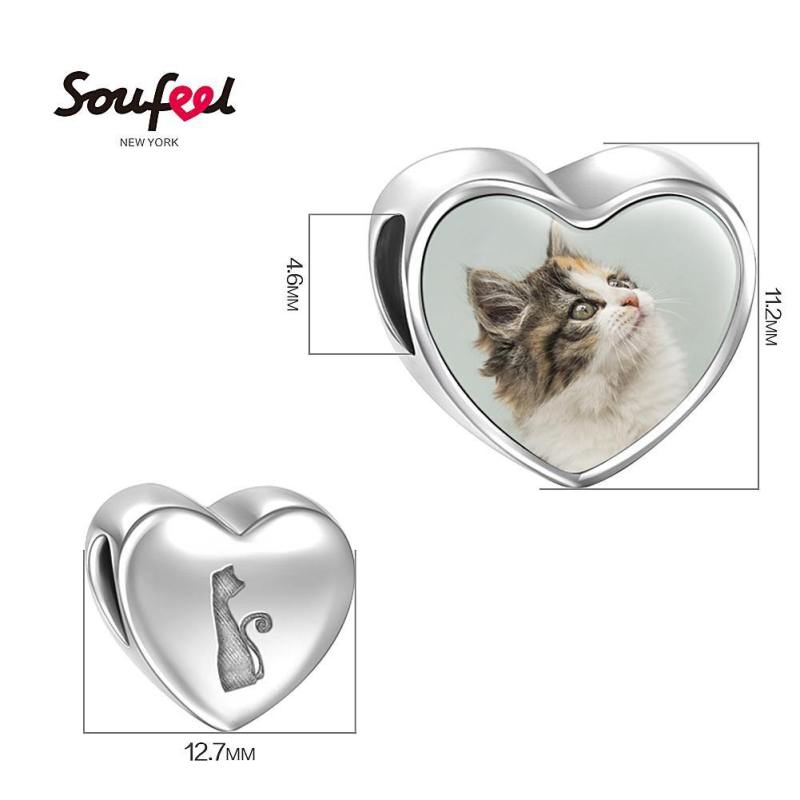 Pet Cat Heart Photo Charm Silver 1