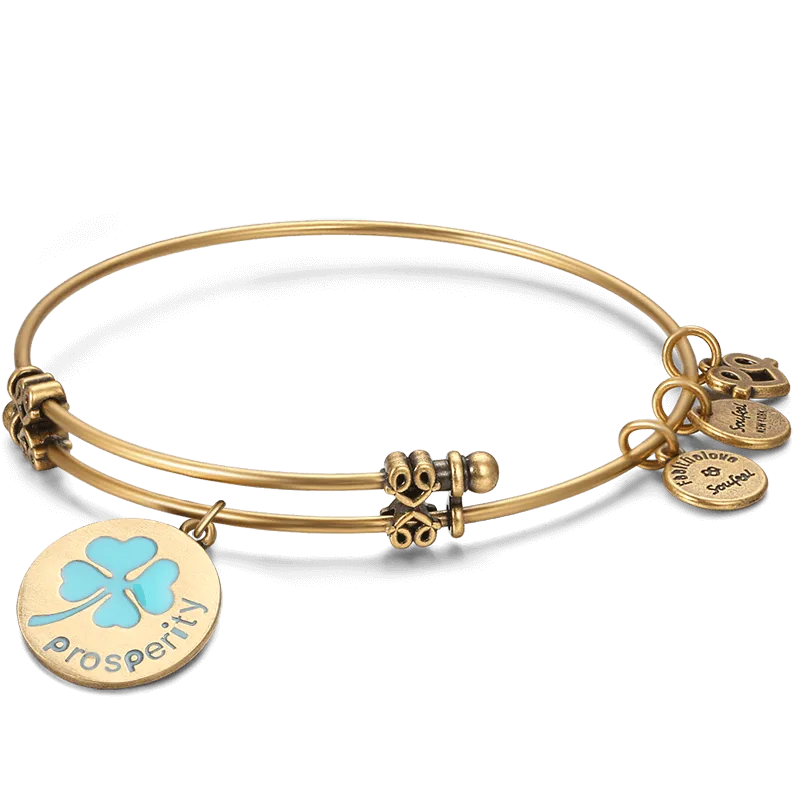 Prosperity Charm Bangle Gold Plated