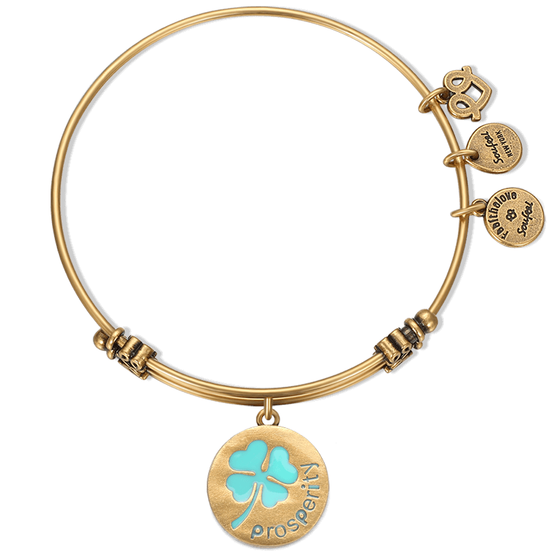 Prosperity Charm Bangle Gold Plated 1