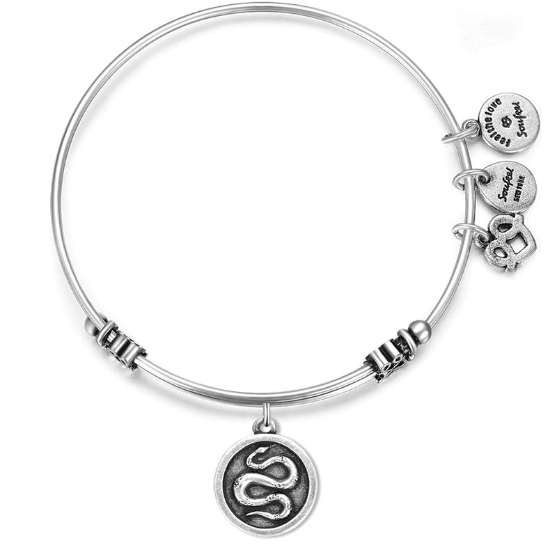 Snake Charm Bangle 1