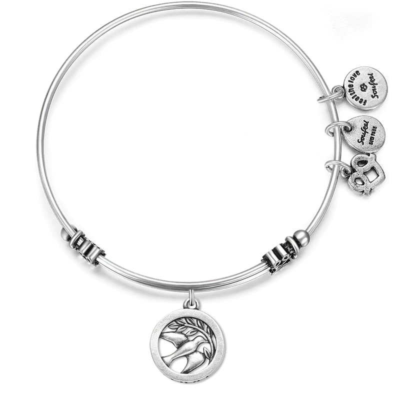 Truth Charm Bangle 1